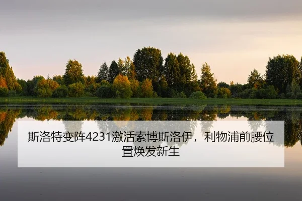 si-luo-te-bian-zhen-ji-huo-suo-bo-si-luo-yi-li-wu-pu-qian-yao-wei-zhi-huan-fa-xin-sheng-2-599.jpg
