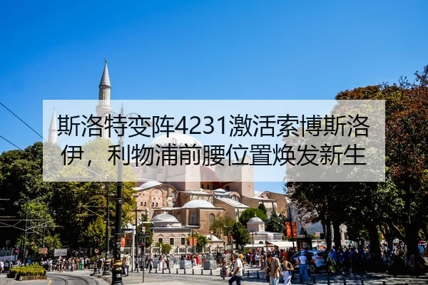 si-luo-te-bian-zhen-ji-huo-suo-bo-si-luo-yi-li-wu-pu-qian-yao-wei-zhi-huan-fa-xin-sheng-3-754.jpg