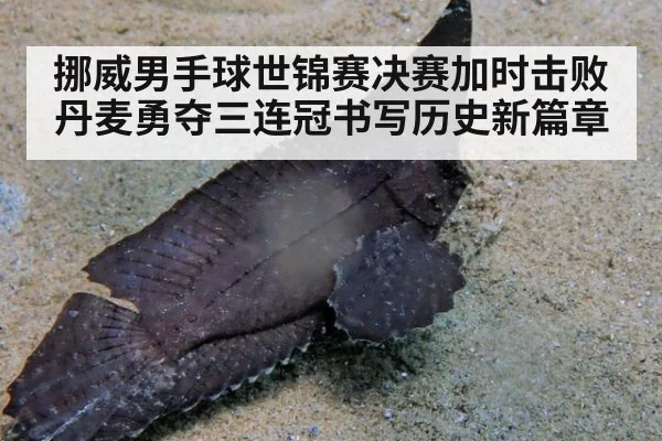 挪威男手球世锦赛决赛加时击败丹麦勇夺三连冠书写历史新篇章